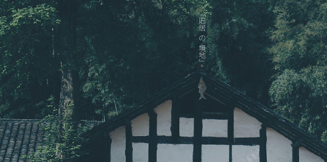 帝国：全面战争