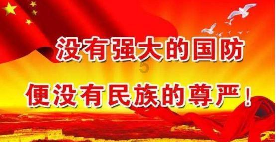 救援狗与猫